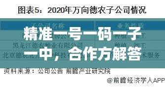 精准一号一码一子一中，合作方解答实施_ROB1.28.76企业版