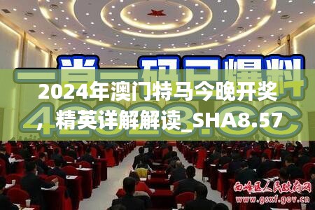 2024年澳门特马今晚开奖，精英详解解读_SHA8.57.87冷静版