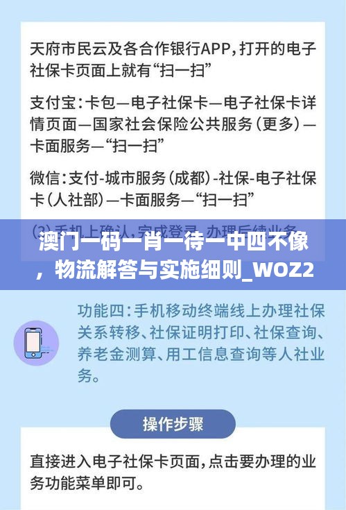 澳门一码一肖一待一中四不像，物流解答与实施细则_WOZ2.37.76版本