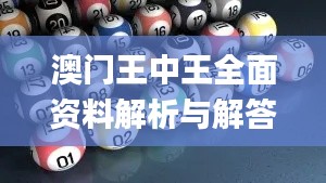 澳门王中王全面资料解析与解答_POC6.21.99快速版