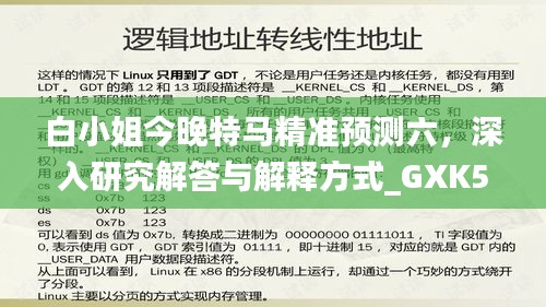 白小姐今晚特马精准预测六，深入研究解答与解释方式_GXK5.30.49新版