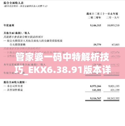 管家婆一码中特解析技巧_EKX6.38.91版本详解