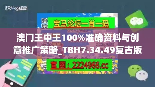 澳门王中王100%准确资料与创意推广策略_TBH7.34.49复古版