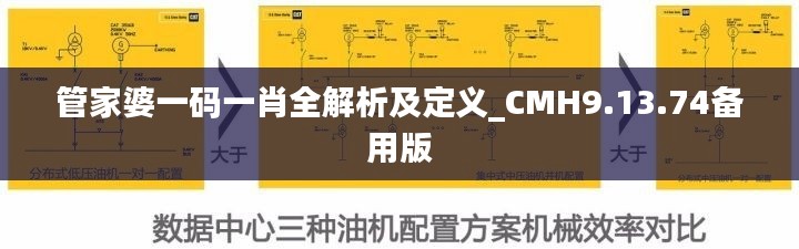 管家婆一码一肖全解析及定义_CMH9.13.74备用版