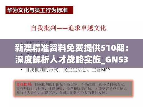 新澳精准资料免费提供510期：深度解析人才战略实施_GNS3.64.37电信版