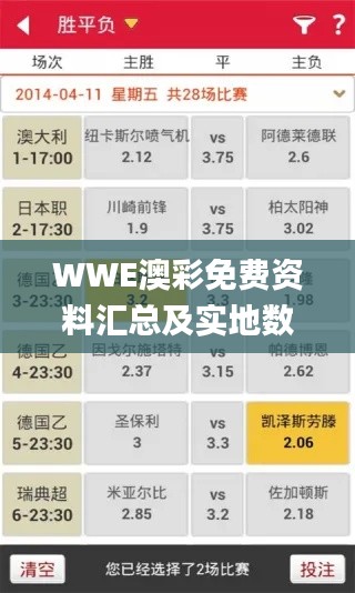 WWE澳彩免费资料汇总及实地数据分析_ITP3.17.89启天境