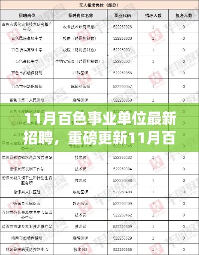 11月百色事业单位最新招聘，事业起点，新鲜职位等你来