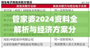 管家婆2024资料全解析与经济方案分析_JUG8.70.36影音版