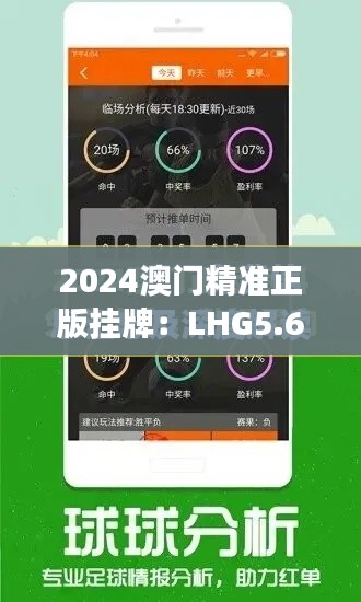 2024澳门精准正版挂牌：LHG5.61.64紧凑版现象深度解析