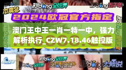 澳门王中王一肖一特一中，强力解析执行_CZW7.18.46触控版