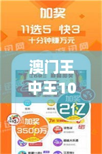 澳门王中王100%必中，生态解析与实施_CVO4.60.52试点版本