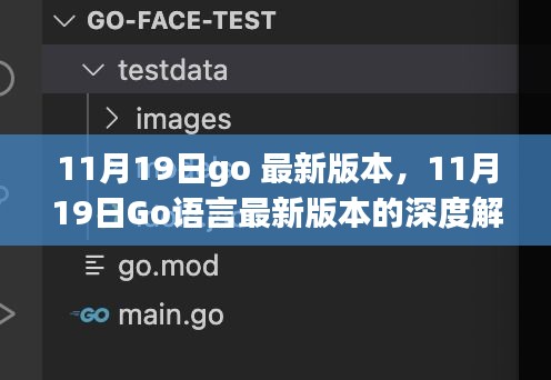 11月19日Go语言最新版本的深度解析，利弊共存及我的观点