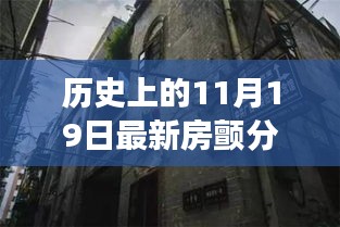 历史上的11月19日，最新房颤分型与小巷特色小店的探秘之旅