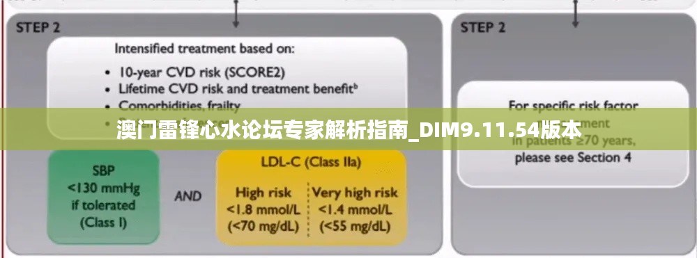 澳门雷锋心水论坛专家解析指南_DIM9.11.54版本