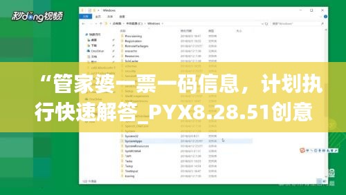 “管家婆一票一码信息，计划执行快速解答_PYX8.28.51创意版”