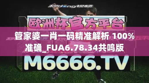 管家婆一肖一码精准解析 100%准确_FUA6.78.34共鸣版