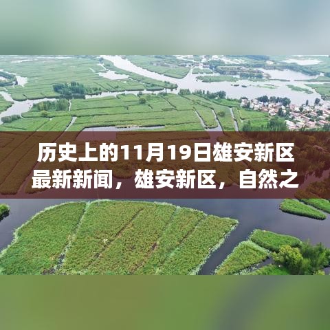 雄安新区，自然之旅的诗意栖息地——最新新闻回顾与心灵静谧港湾的探寻之路