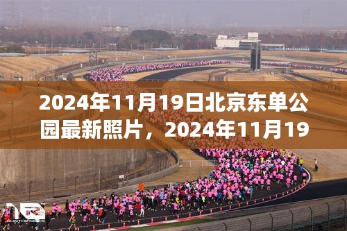 北京东单公园绚丽风景的见证者，最新照片记录时光之美（2024年11月19日）