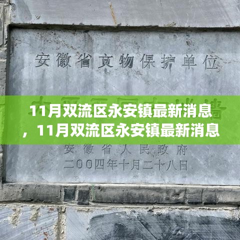 11月双流区永安镇发展聚焦，热议最新消息与各方观点深度剖析