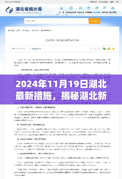 揭秘湖北新篇章，全面解读湖北最新措施与未来展望（2024年11月19日）