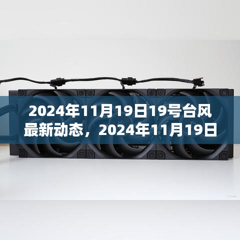 2024年11月19日19号台风最新动态，2024年11月19日，揭秘台风风神的最新动态小红书版