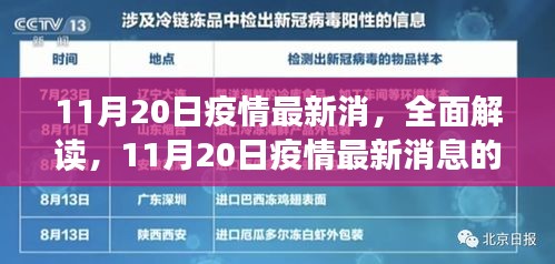 11月20日疫情最新消息全面解读与深度分析