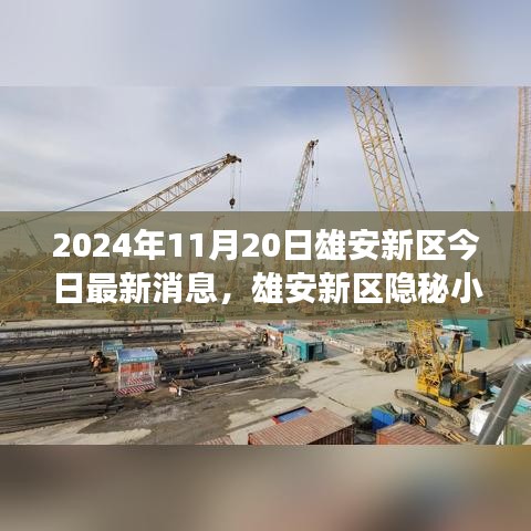 雄安新区独特风味探索，隐秘小巷中的非凡之旅（2024年11月20日最新消息）