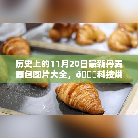 历史上的11月20日，丹麦面包机图片大全与体验分享——科技烘焙新纪元开启