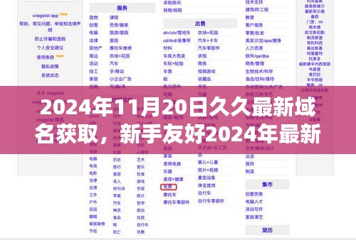 新手友好指南，2024年最新域名获取攻略，教你轻松获取久久域名！