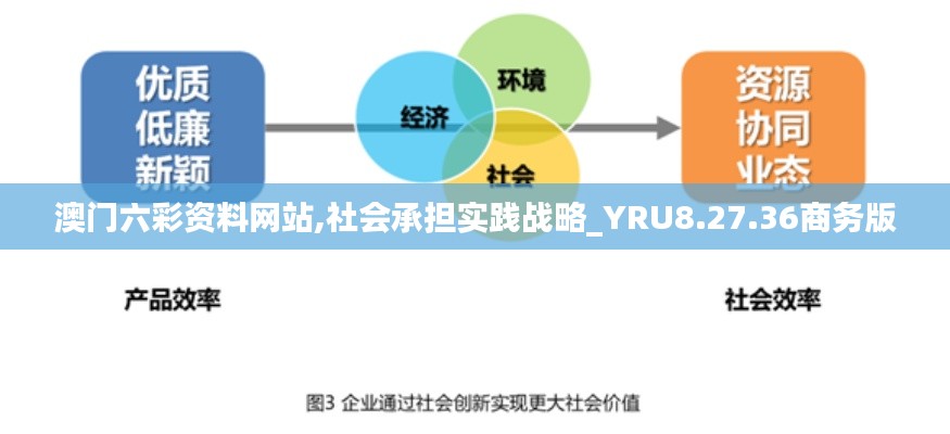 澳门六彩资料网站,社会承担实践战略_YRU8.27.36商务版