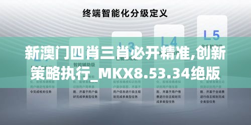 新澳门四肖三肖必开精准,创新策略执行_MKX8.53.34绝版