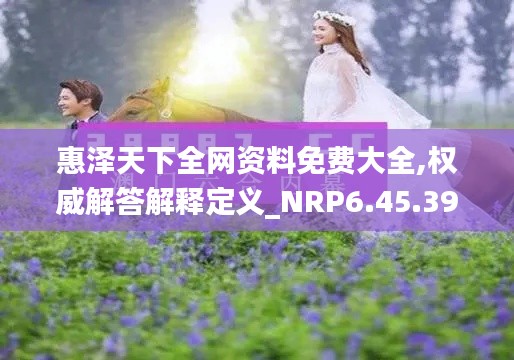 惠泽天下全网资料免费大全,权威解答解释定义_NRP6.45.39融合版