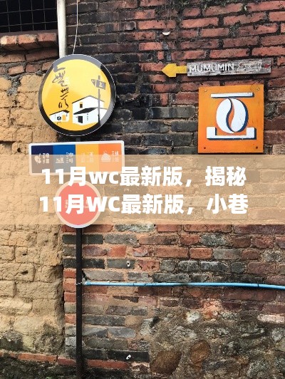 揭秘隐藏版特色小店，探索小巷深处的独特风味——11月WC最新版探索之旅