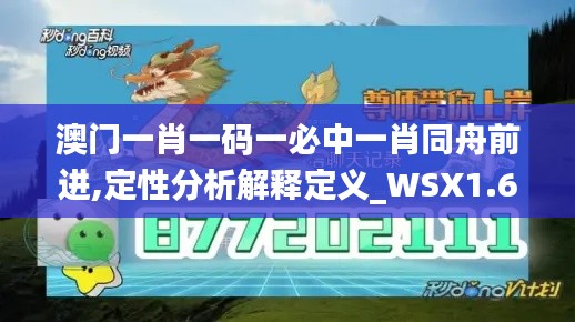 澳门一肖一码一必中一肖同舟前进,定性分析解释定义_WSX1.62.30水晶版