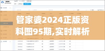 管家婆2024正版资料图95期,实时解析数据分析_TNE6.76.93网页版