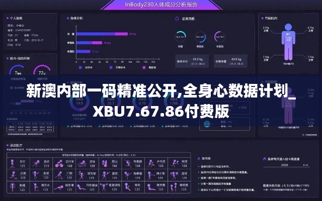 新澳内部一码精准公开,全身心数据计划_XBU7.67.86付费版