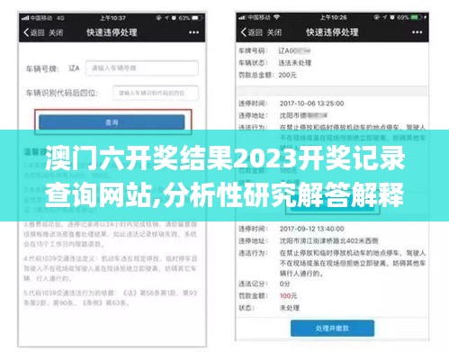 澳门六开奖结果2023开奖记录查询网站,分析性研究解答解释路径_GBG7.23.73职业版