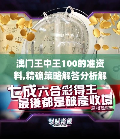 澳门王中王100的准资料,精确策略解答分析解释_NLB7.42.86科技版