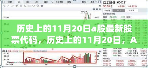 历史上的11月20日A股最新股票代码的诞生与影响分析