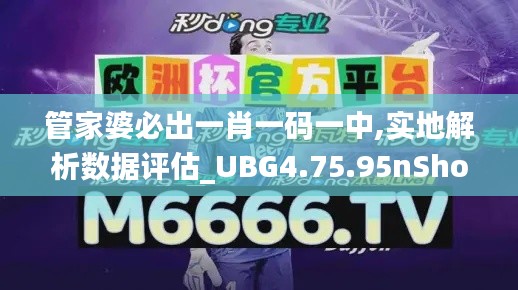 管家婆必出一肖一码一中,实地解析数据评估_UBG4.75.95nShop