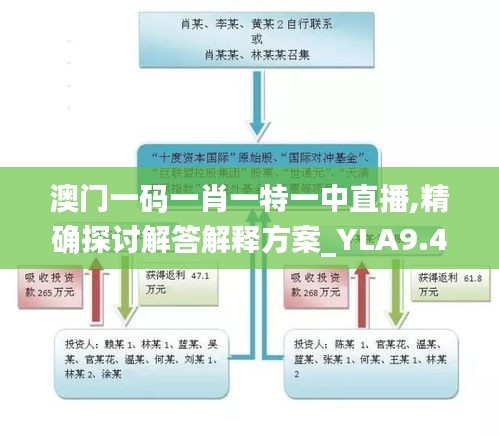 澳门一码一肖一特一中直播,精确探讨解答解释方案_YLA9.49.46习惯版