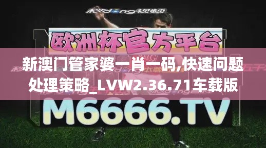 新澳门管家婆一肖一码,快速问题处理策略_LVW2.36.71车载版