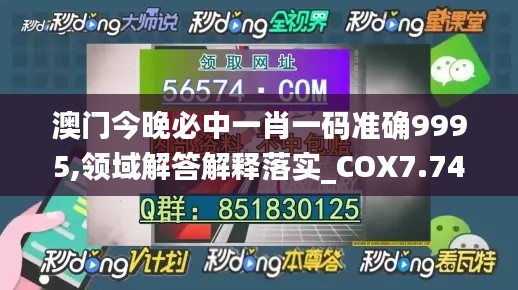 澳门今晚必中一肖一码准确9995,领域解答解释落实_COX7.74.33DIY工具版