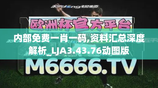 内部免费一肖一码,资料汇总深度解析_LJA3.43.76动图版