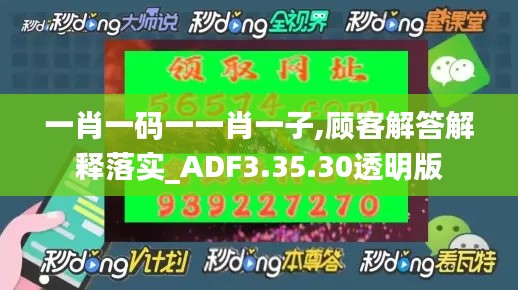 一肖一码一一肖一子,顾客解答解释落实_ADF3.35.30透明版