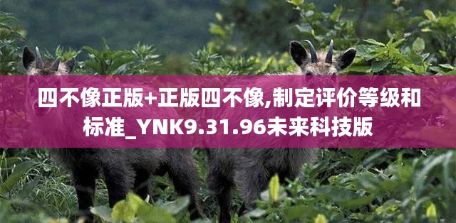 四不像正版+正版四不像,制定评价等级和标准_YNK9.31.96未来科技版