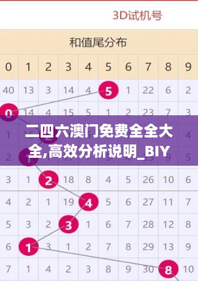 二四六澳门免费全全大全,高效分析说明_BIY9.30.52未来科技版