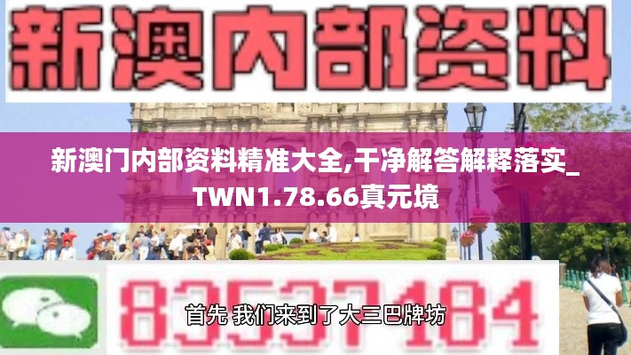 新澳门内部资料精准大全,干净解答解释落实_TWN1.78.66真元境