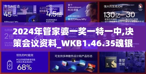 2024年管家婆一奖一特一中,决策会议资料_WKB1.46.35魂银版