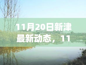 11月20日新津最新动态，11月20日新津最新动态，城市发展的脉搏与未来展望